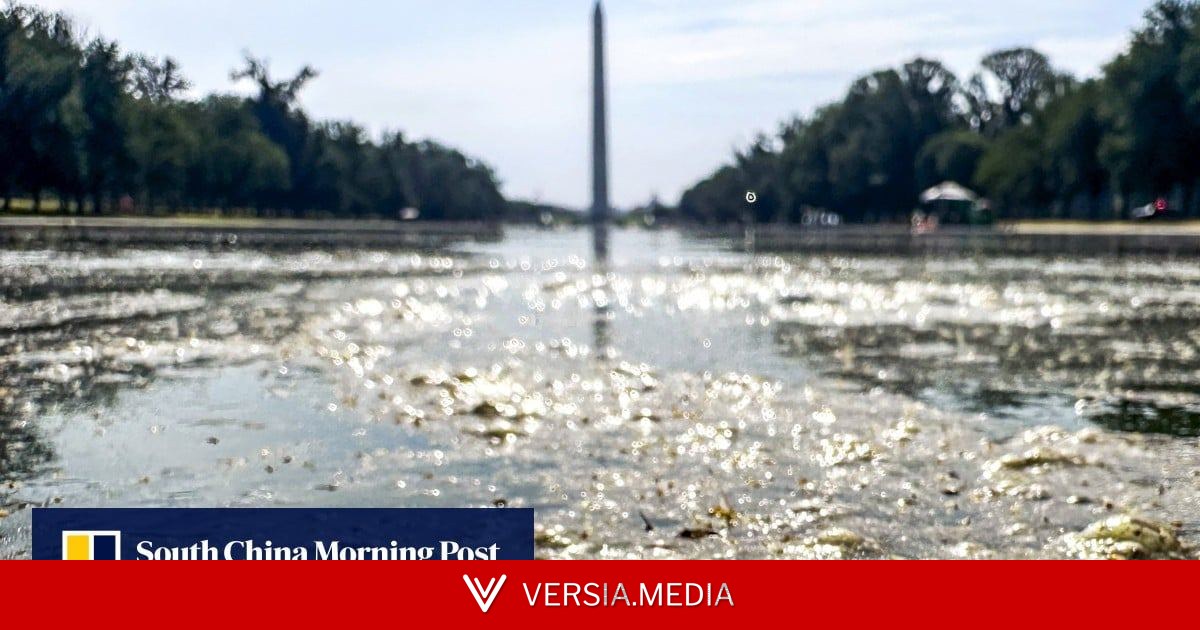 Algae-filled Washington pool to be drained for repairs after US$14.7 million renovation