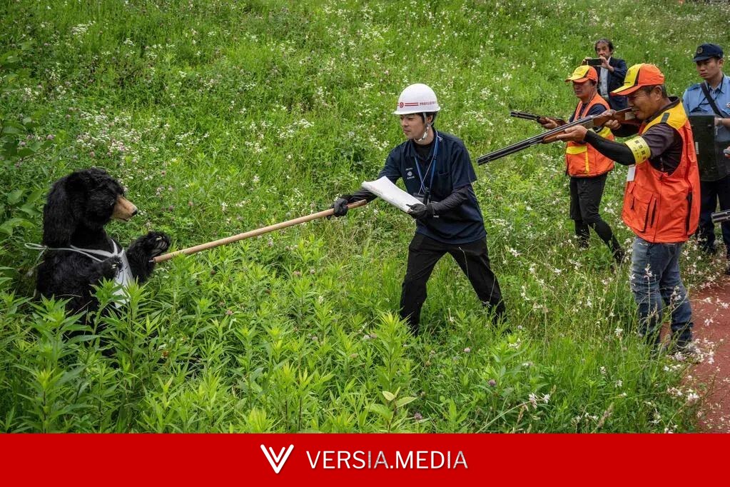 日本利用无人机 应对乡村地区熊害