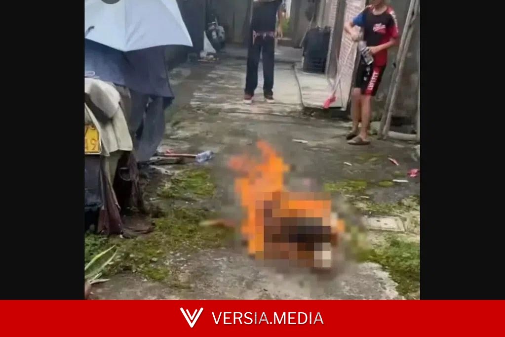 广东未成年人汽油焚烧虐狗案发酵 “陈乔恩发声被秒删”登热搜