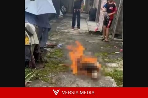 广东未成年人汽油焚烧虐狗案发酵 “陈乔恩发声被秒删”登热搜