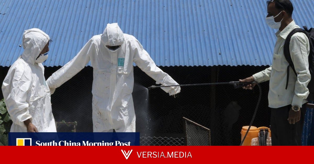 Nepal’s bird flu outbreak spreads, breeding pandemic mutation fears