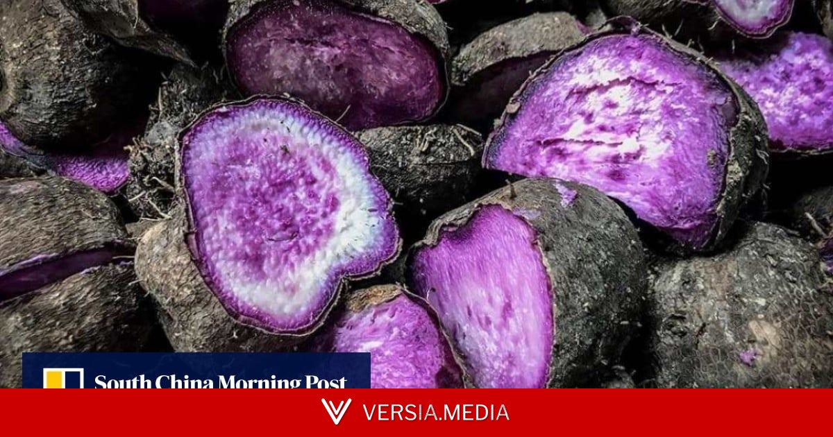 Thai beer heir opens up, Philippine ube’s ‘purple gold rush’: 7 Asia highlights