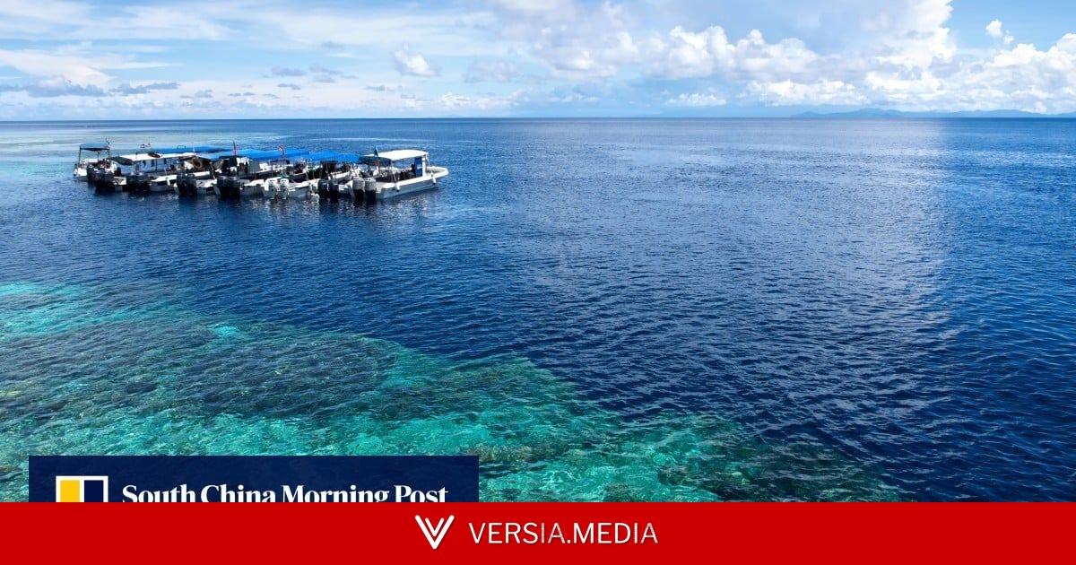Is Malaysia risking its world-class coral reefs for offshore oil?