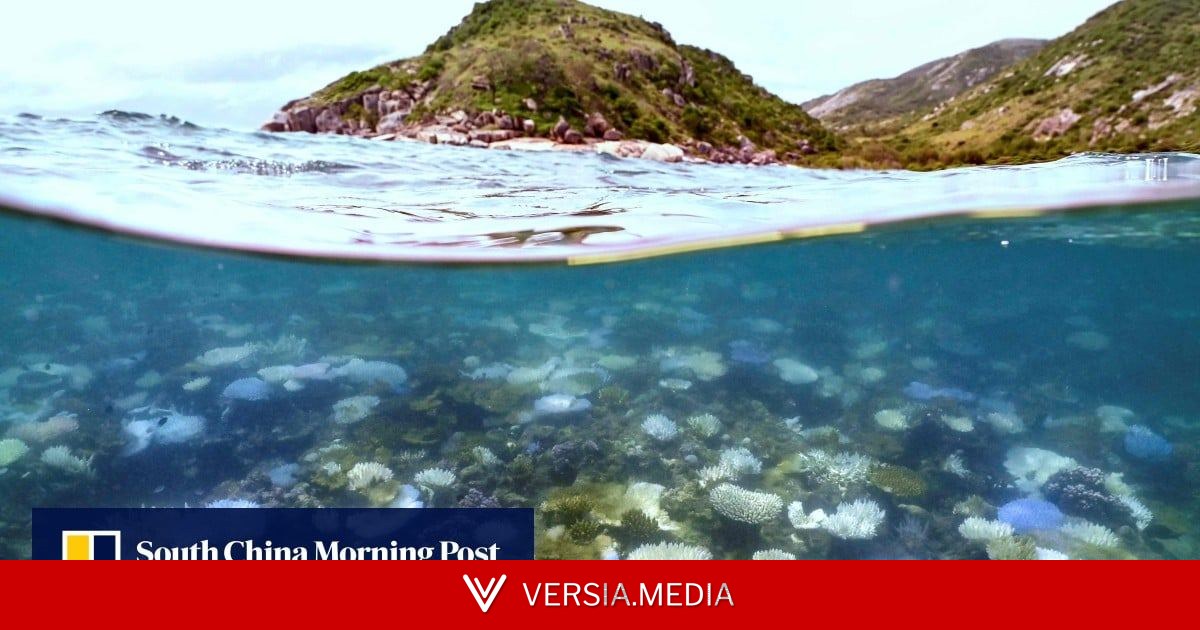 Australia’s Great Barrier Reef avoids ‘in danger’ listing by Unesco