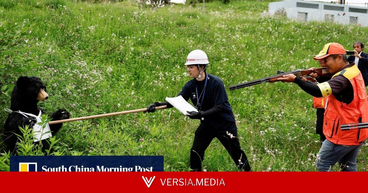 How a Japanese prefecture is managing rising bear population with microchips