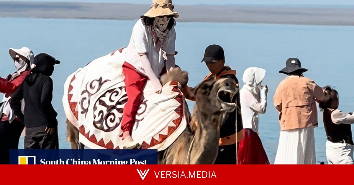 Outrage erupts after distressed tourist-carrying camel in China is forced to its feet