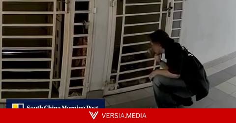 In Malaysia, viral shoe-sniffing video sparks stalking arrest