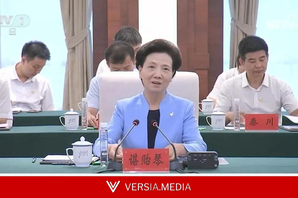 谌贻琴:全力做好高校毕业生农民工等重点群体就业