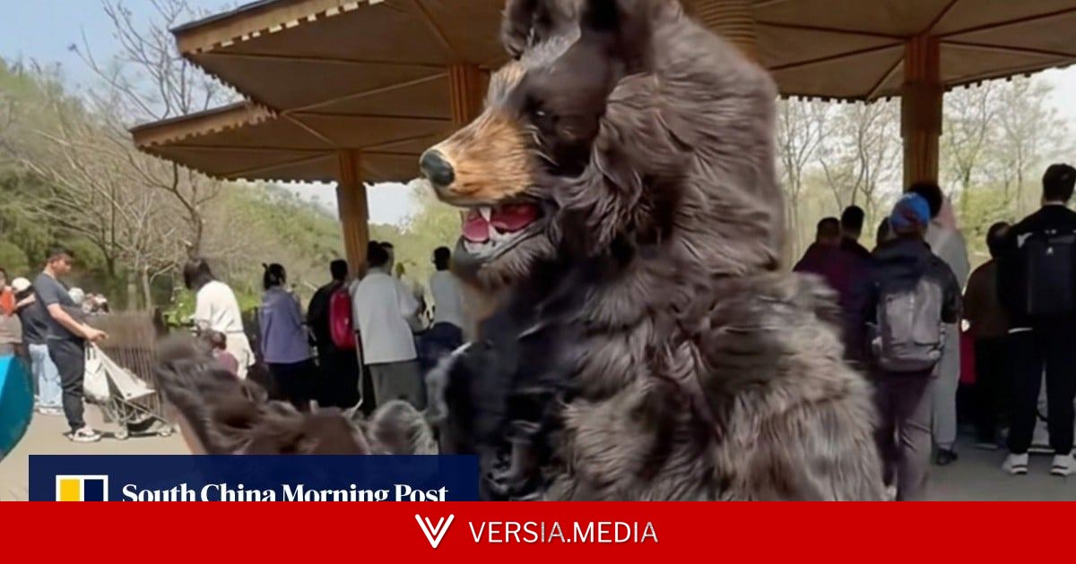 China zoo offers US$15,000 annual salary for bear costume performer with strict silence clause