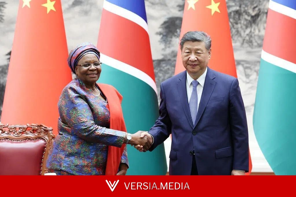 习近平:中国愿与纳方共同加强矿产合作