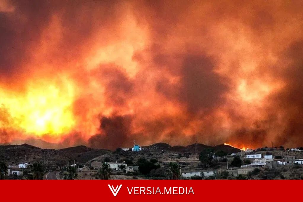 西班牙林火肆虐12人丧命 官员:这是前所未有的悲剧