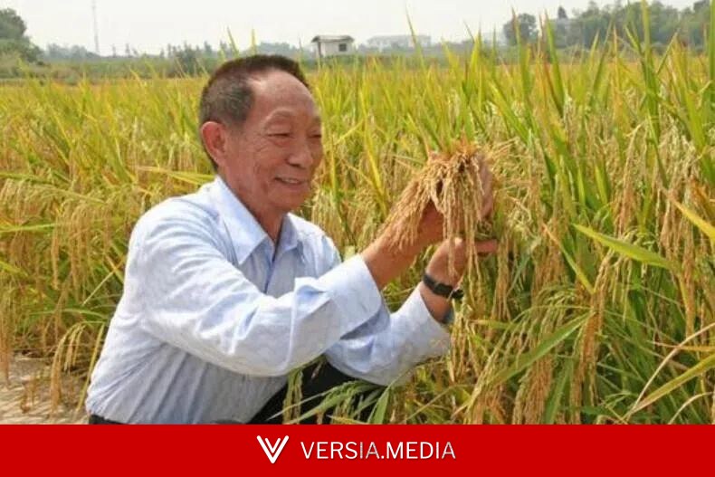 网红诋毁袁隆平水稻育种技术 账号被无限期封禁
