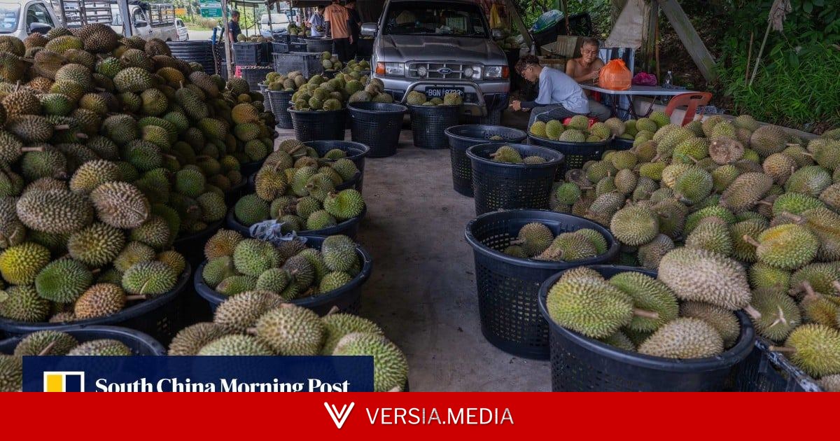 Malaysia’s Anwar to lean on ‘good friend’ Li Qiang to rescue durian farmers as prices fall